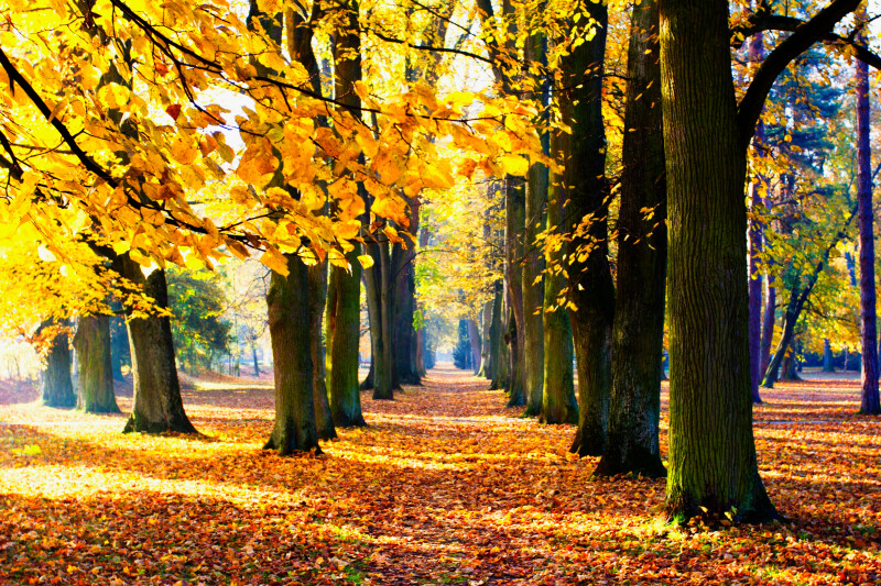 Turčianske Teplice park